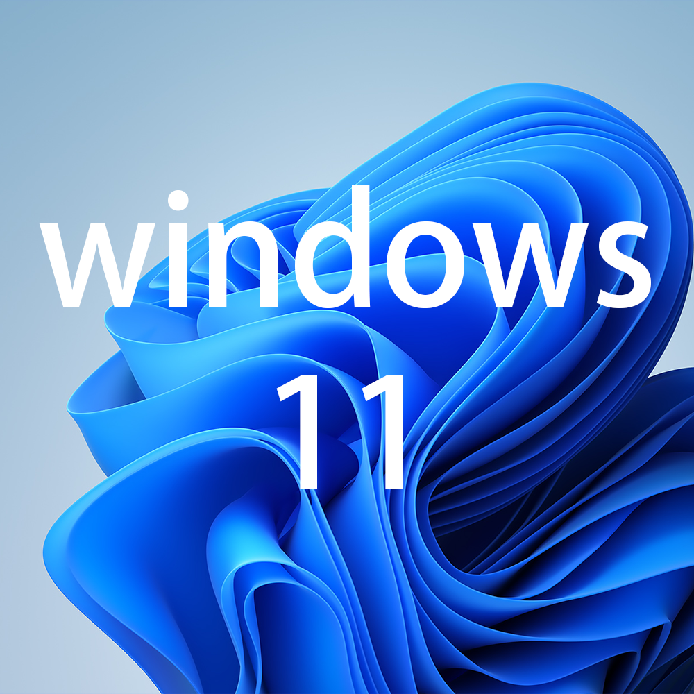 Windows 11